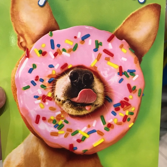 Meet your Posher, Posh - Picture 1 of 1